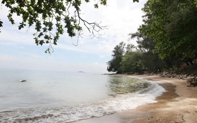 Batu Ferringhi - Shamrock Beach 19