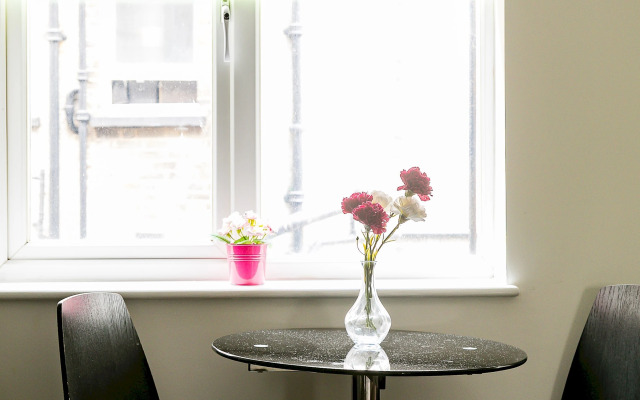 Cosy green 1-bedroom apartment