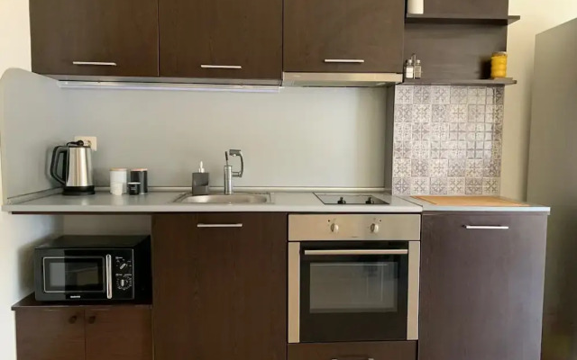 Bansko Spacious Art Apartment With Mountain Views