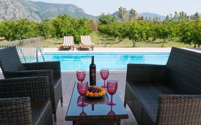 Pomegranate Garden Villas