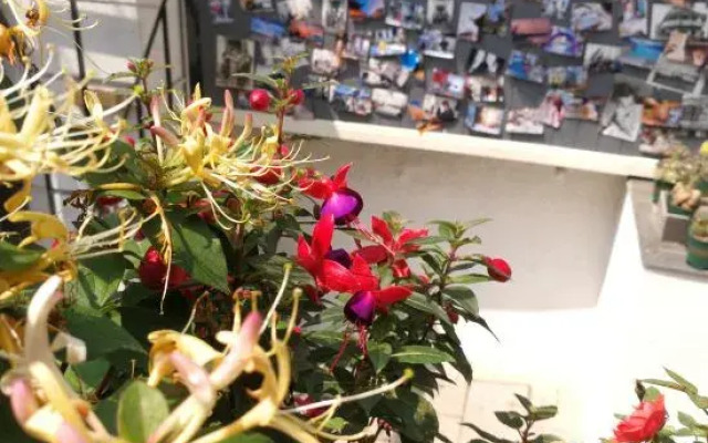 Shui'an Yishujia Old Villa Hostel