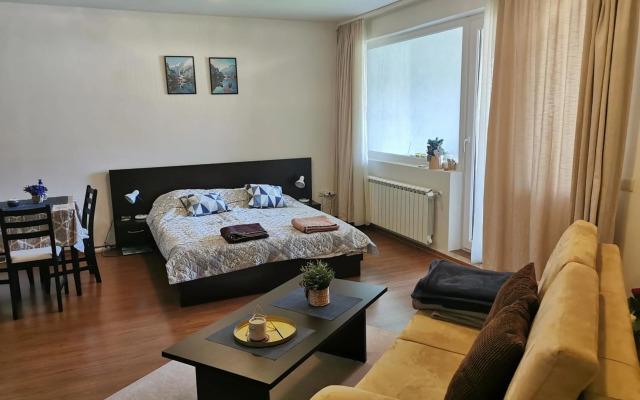 Sunny studio apartment - few steps from Gondola