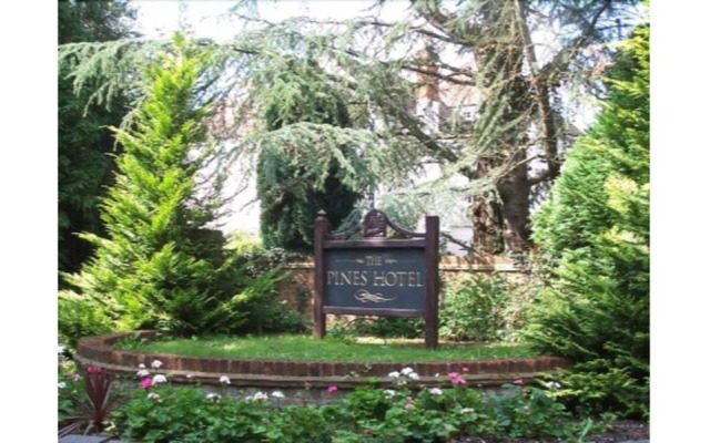 The Pines Hotel