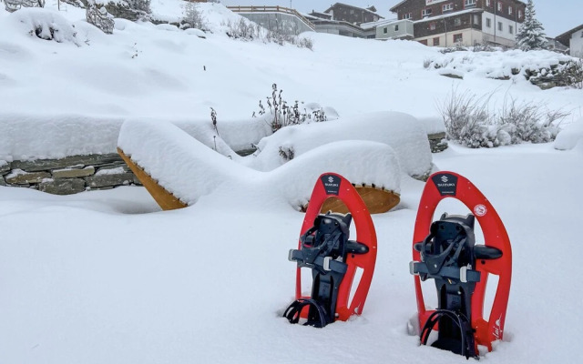 Sera Lodge Wohnung Bietschhorn Gr Chen