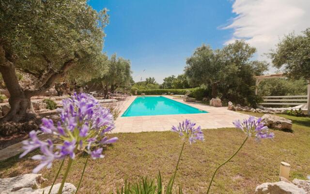 Trullo Agapanthus