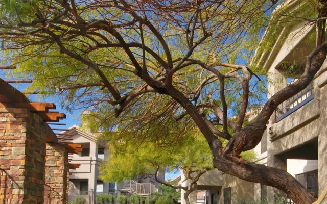 WorldMark Phoenix - South Mountain Preserve