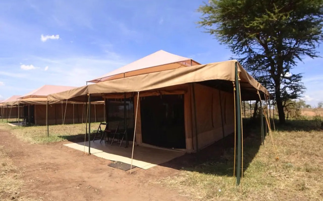 Serengeti Wild Camp