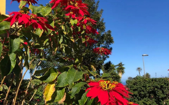 RF La Quinta Park Suites