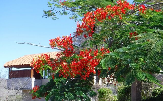 The Natural Curacao - Clothing Optional