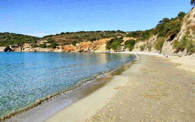 Anemone Seaside Traditional Homes