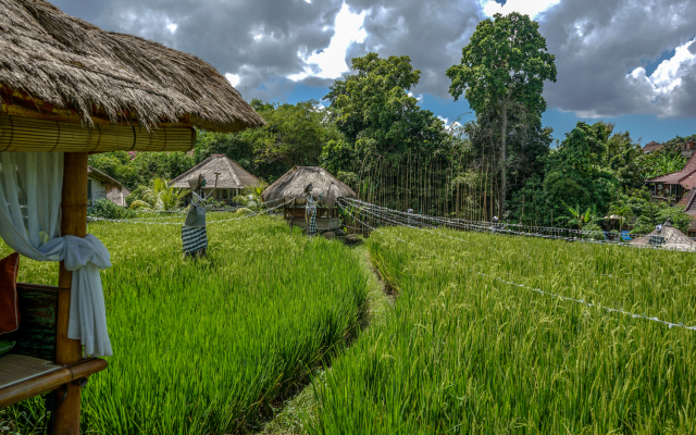 Kts Balinese Villas By Zuzu