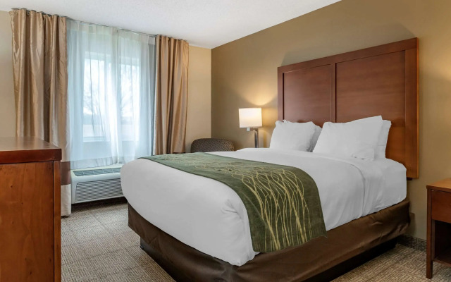 Comfort Inn & Suites Diamondale – Lansing