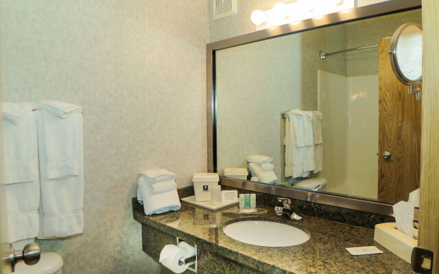 Comfort Inn & Suites Medicine Hat