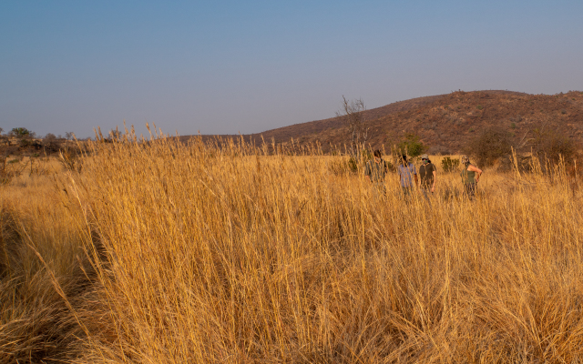 Bakubung Bush Lodge