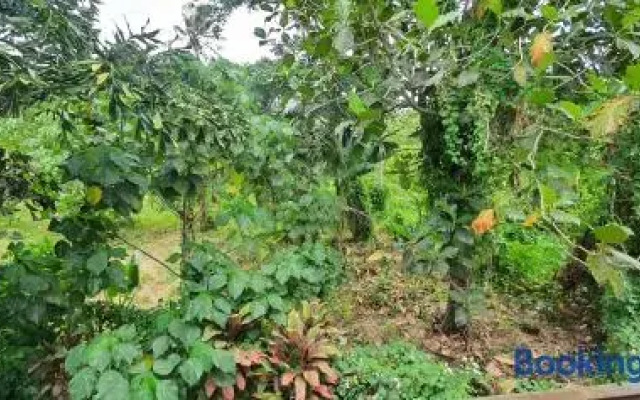 Lynn's Getaway Apartments