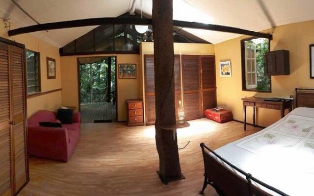 Rainforest Hideaway