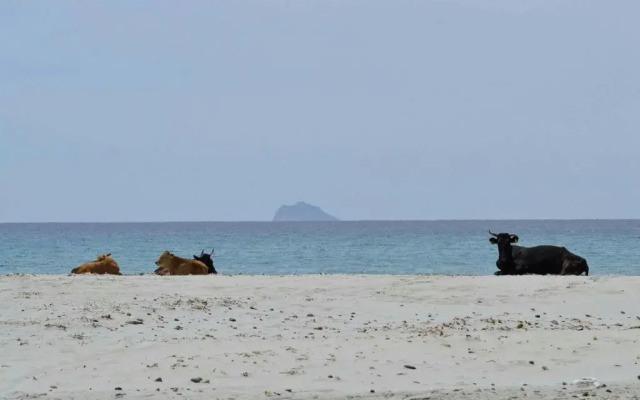 Agriturismo Is Solinas