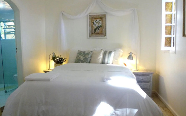 Aratinga inn