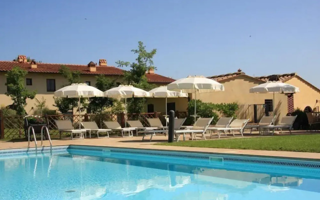 Gatto Bianco Tizzauli