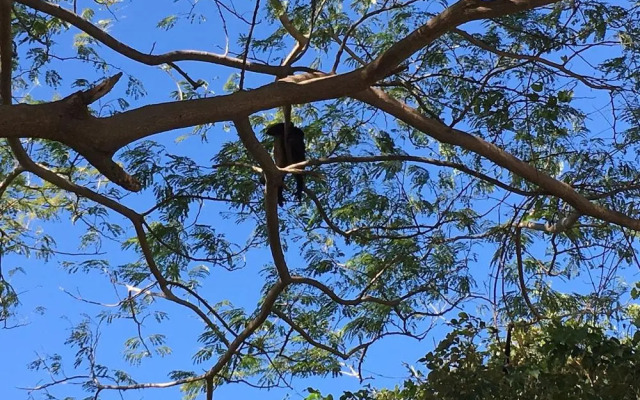 El Jardin de la Vida