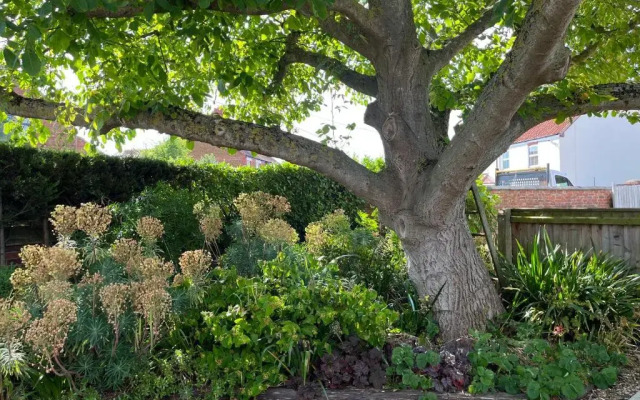 Walnut Corner