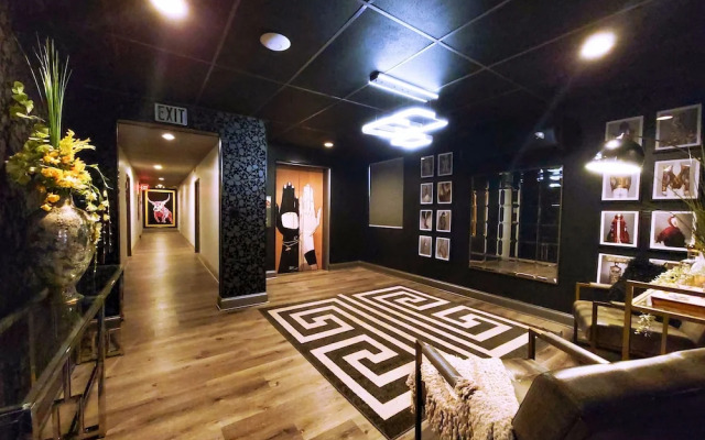 Chic Collection by NOHOTEL on PTree RD