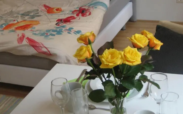 Apartment Erlachgasse