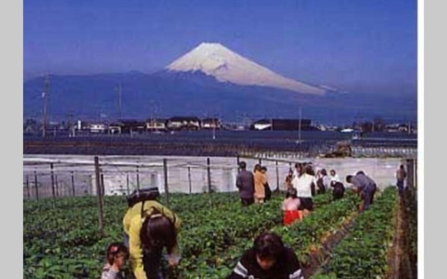 ゲストハウス+カフェわ　１日１組限定！ 築１００年の農家の古民家で宿泊体験、薪でお風呂沸かせます。焚き火もできます。 – People – Izunokuni