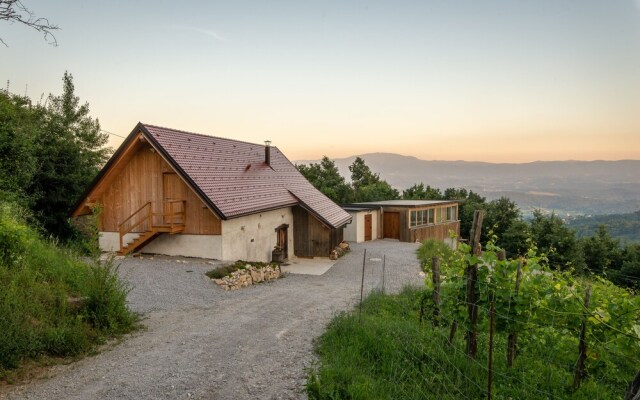 Vineyard cottage Škatlar 3