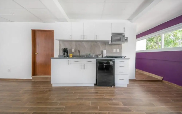 JUUB Deluxe Loft at Colonia ROMA