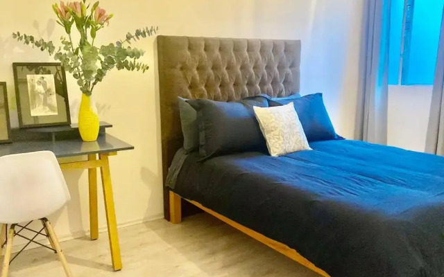 Amazing Cozy Apartment in Condesa