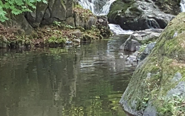 Shinevalley Pension & Hotel