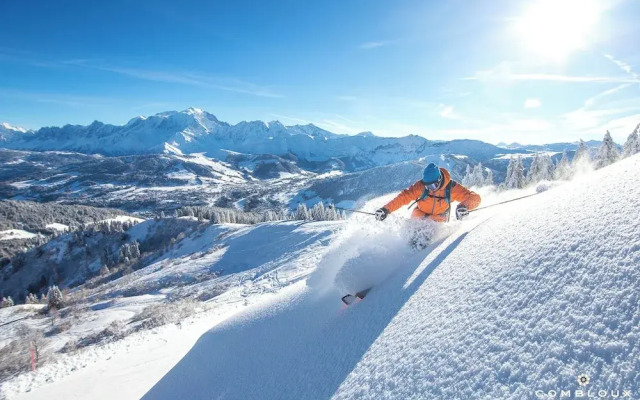 Chalet Alpen Valley, Mont-Blanc