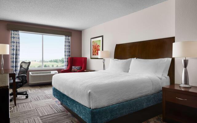 Hilton Garden Inn Denver South Park Meadows Area