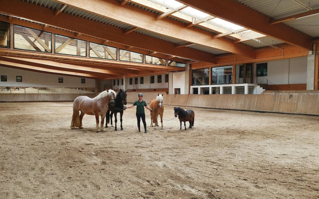 Reit-und Sporthotel Nordmann