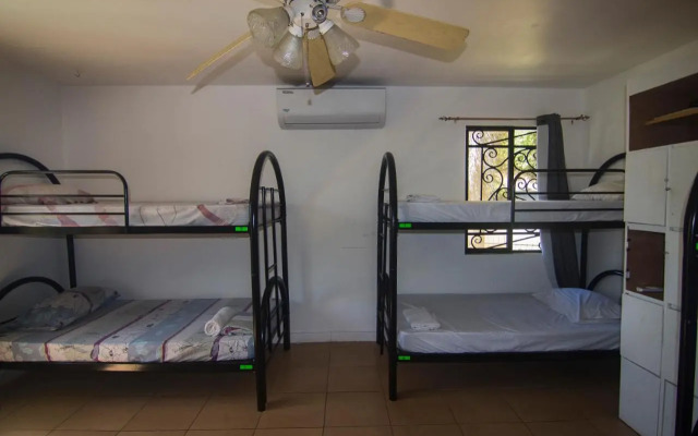 Wipeout Hostel