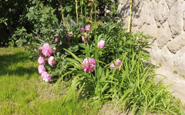 Nagyiék háza / Granny's House