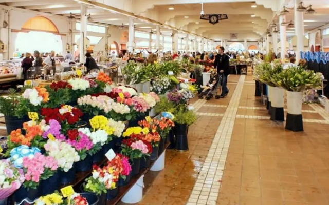 Apartment Rue Georges Clemenceau