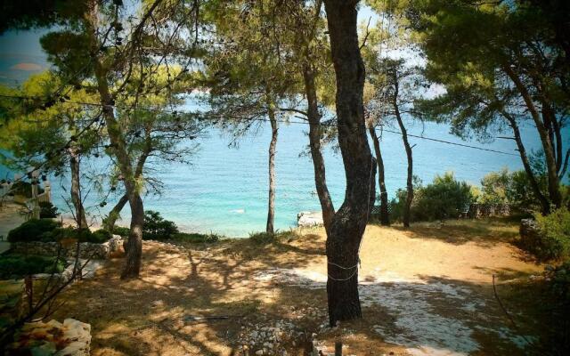 Apartment Villa Iskra