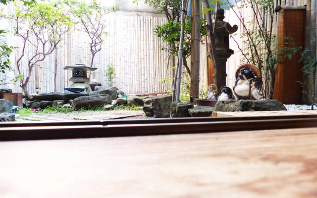 GOMAHARU guest house - Hostel