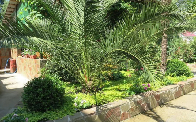 Dobry Kit Guest House