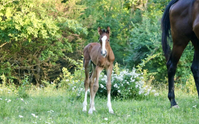The Inn on Lake Champlain