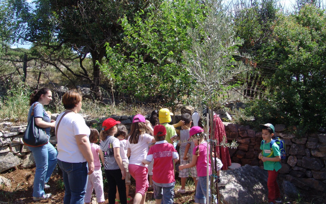 Arolithos Traditional Cretan Village