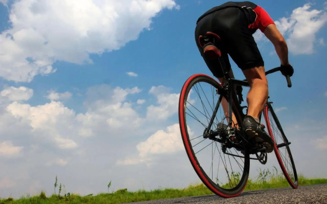 Son Rossignol finca Llubi 193