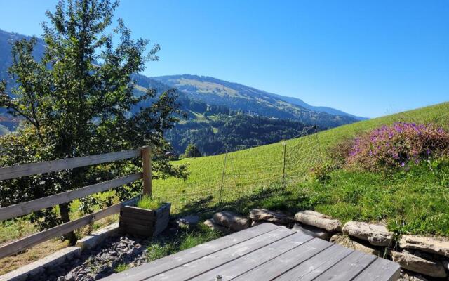 Le Mazot de Marie - chalet 6 pers