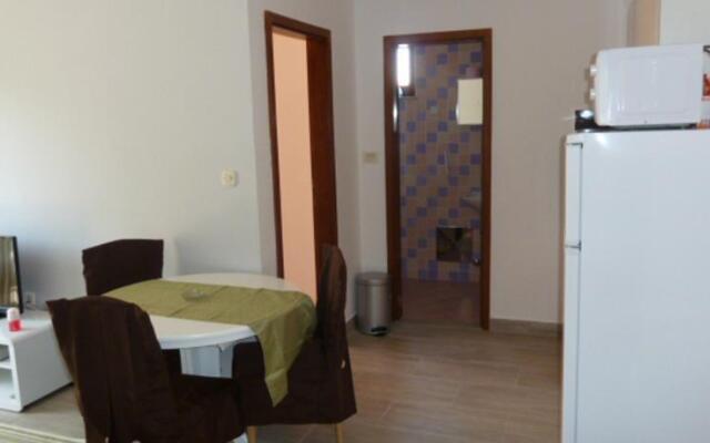 Apartment Tratincica