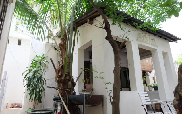 Moon house tropical garden - Valentine