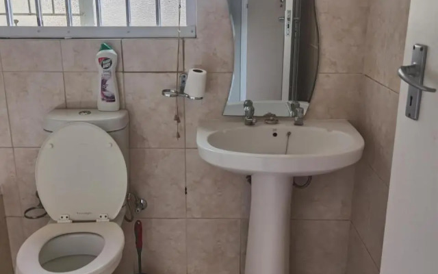 Birch Street Homestead