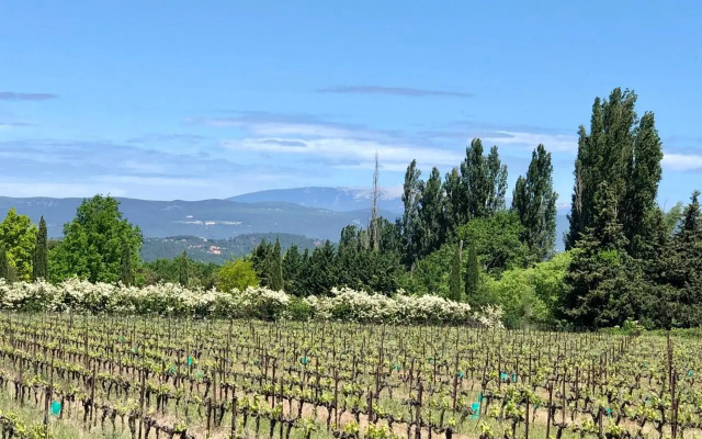 La Verrière à Bonnieux