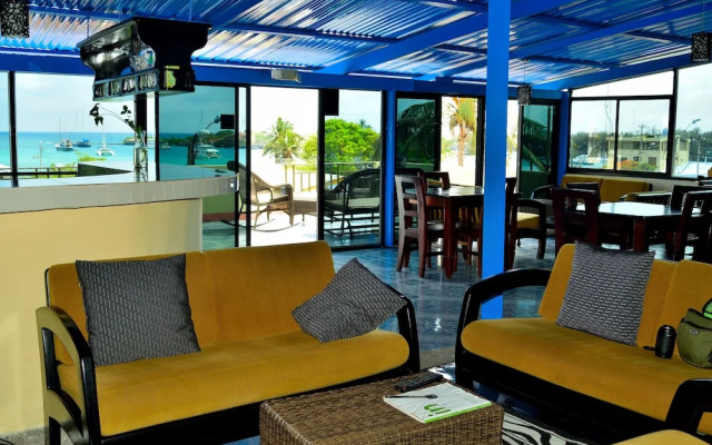 Flightless Cormorant